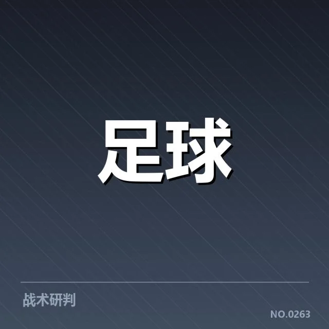 已确认的财务数据和资金来源渠道